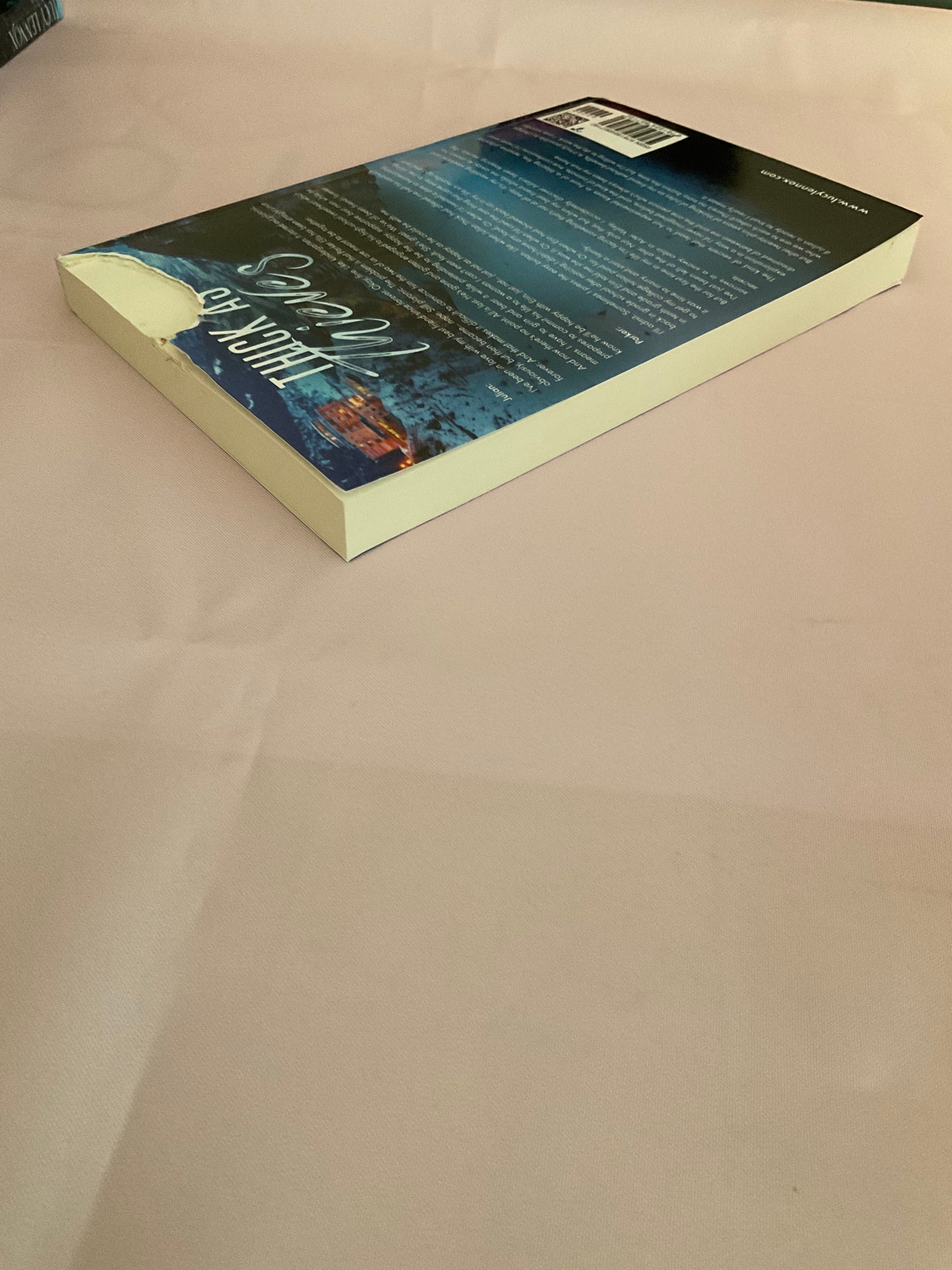 Thick as Thieves SCRATCH AND DENT (Signed Paperback)