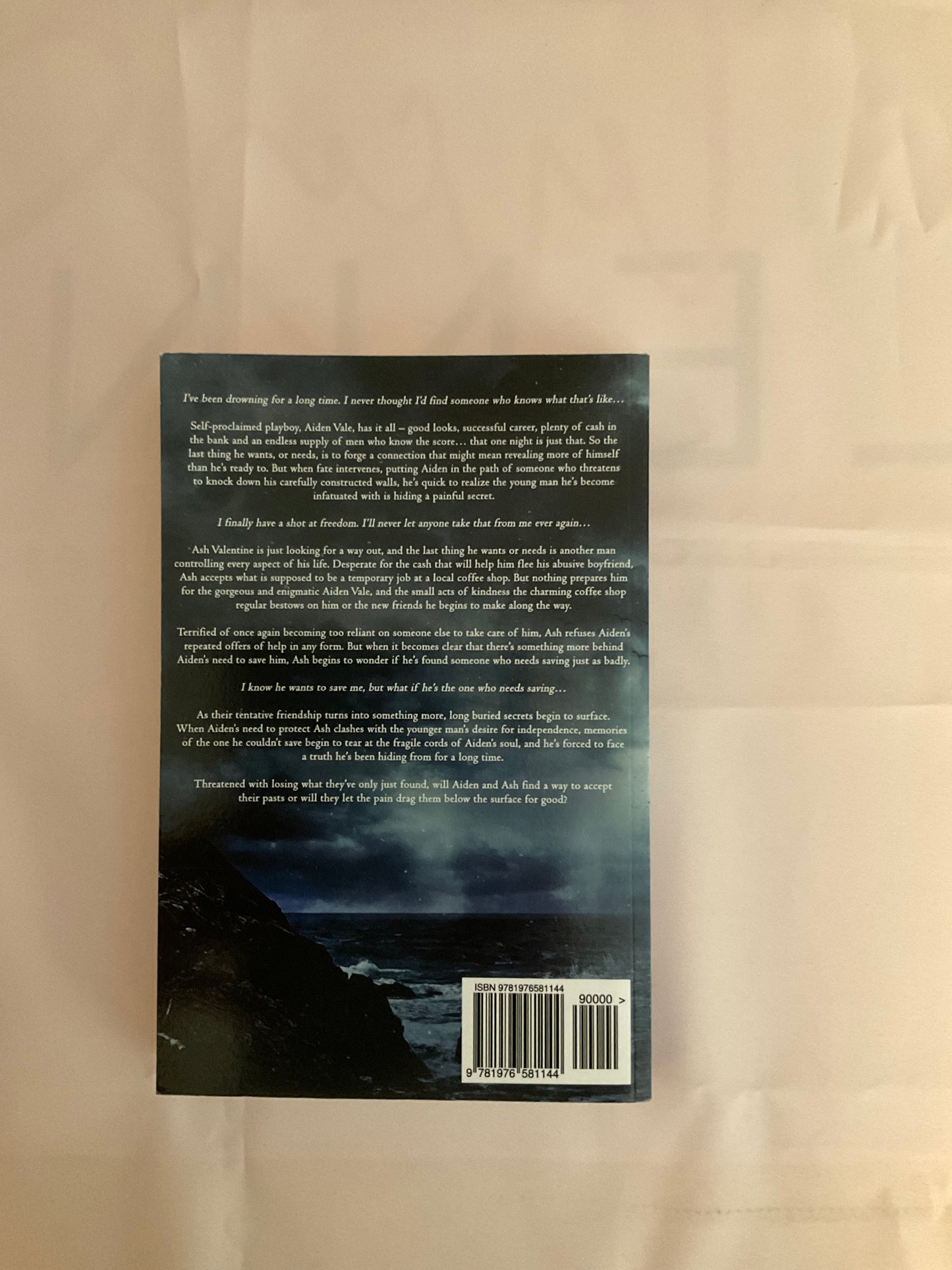 Safe & Sound SCRATCH AND DENT (Signed Paperback) (Copy)