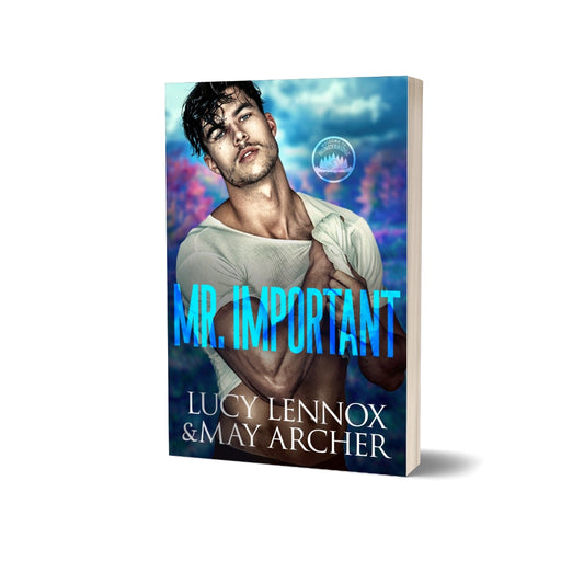 Mr. Important (Paperback) gay romance novel