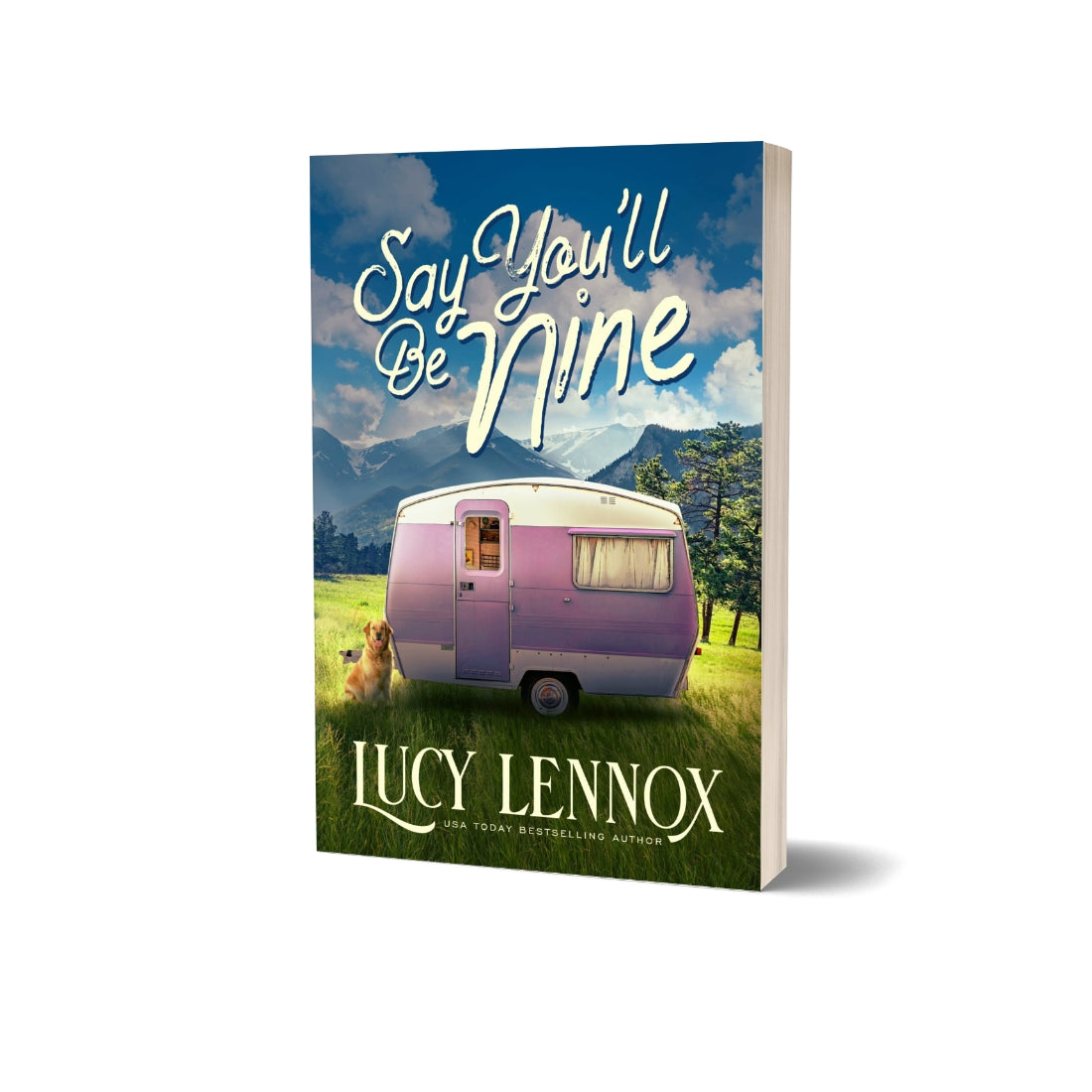 Say You'll Be Nine (Paperback) gay romance novel