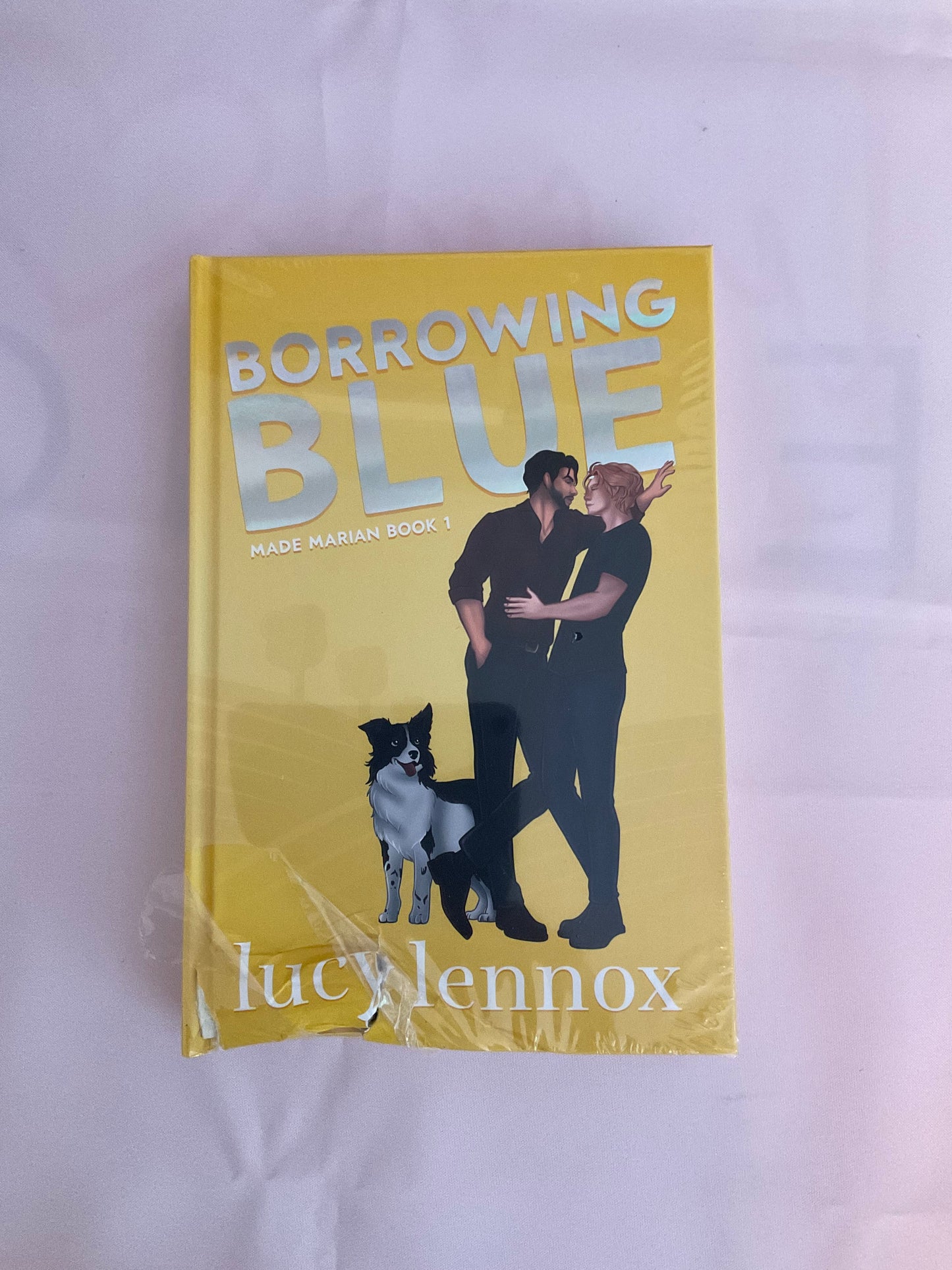 Borrowing Blue SCRATCH AND DENT Special Edition Hardcover (Signed) Listing 2