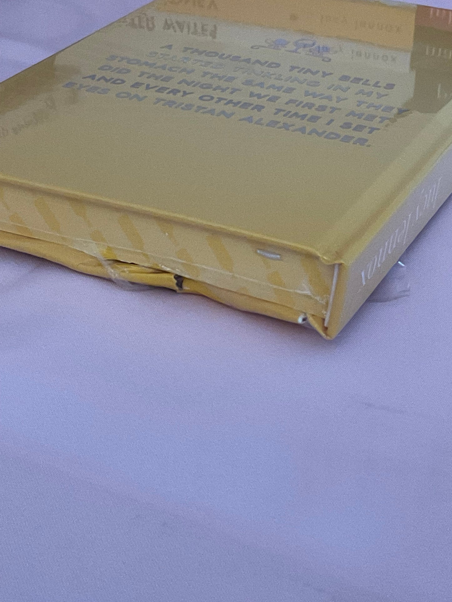 Borrowing Blue SCRATCH AND DENT Special Edition Hardcover (Signed) Listing 2