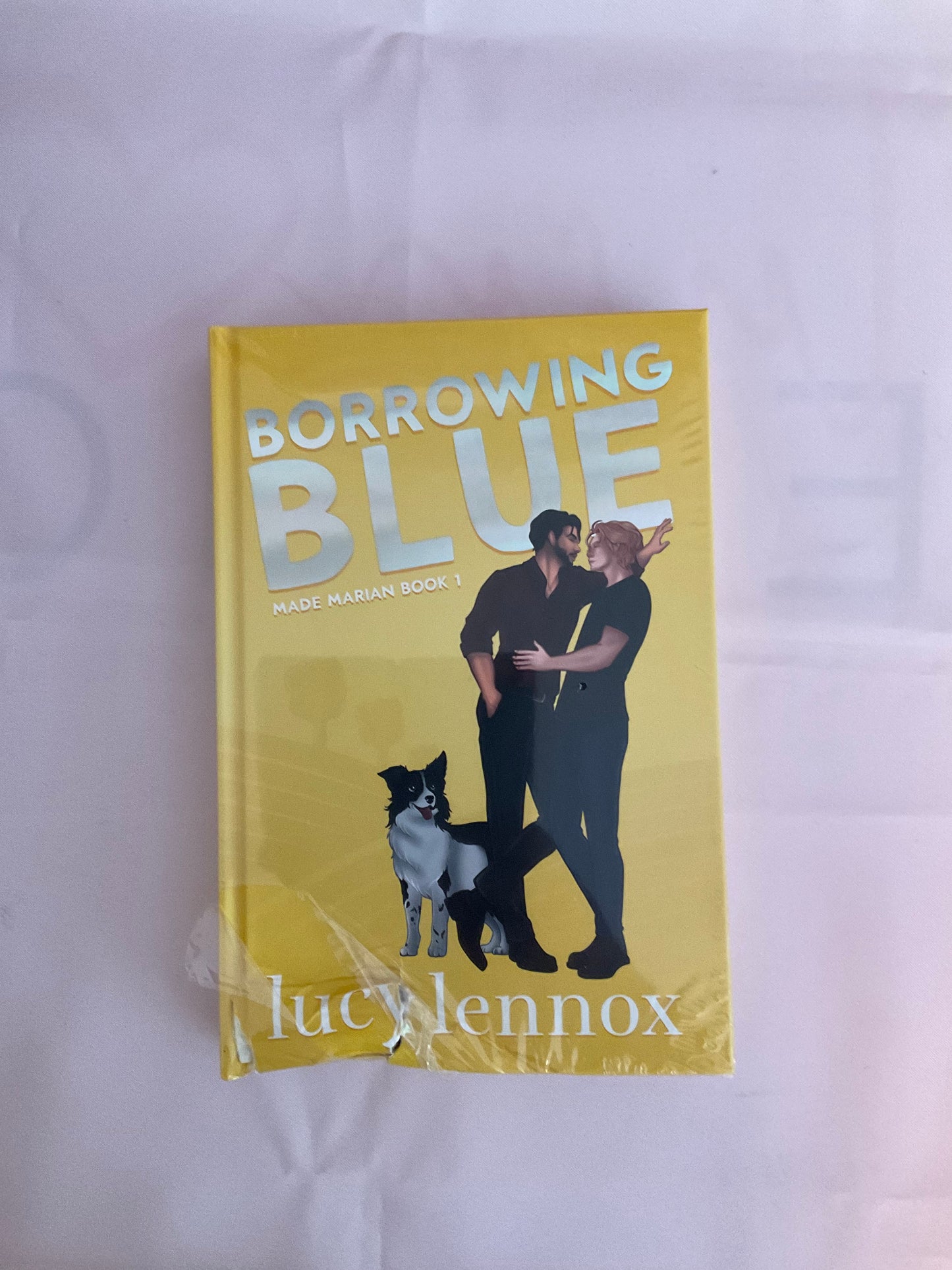 Borrowing Blue SCRATCH AND DENT Special Edition Hardcover (Signed) Listing 2