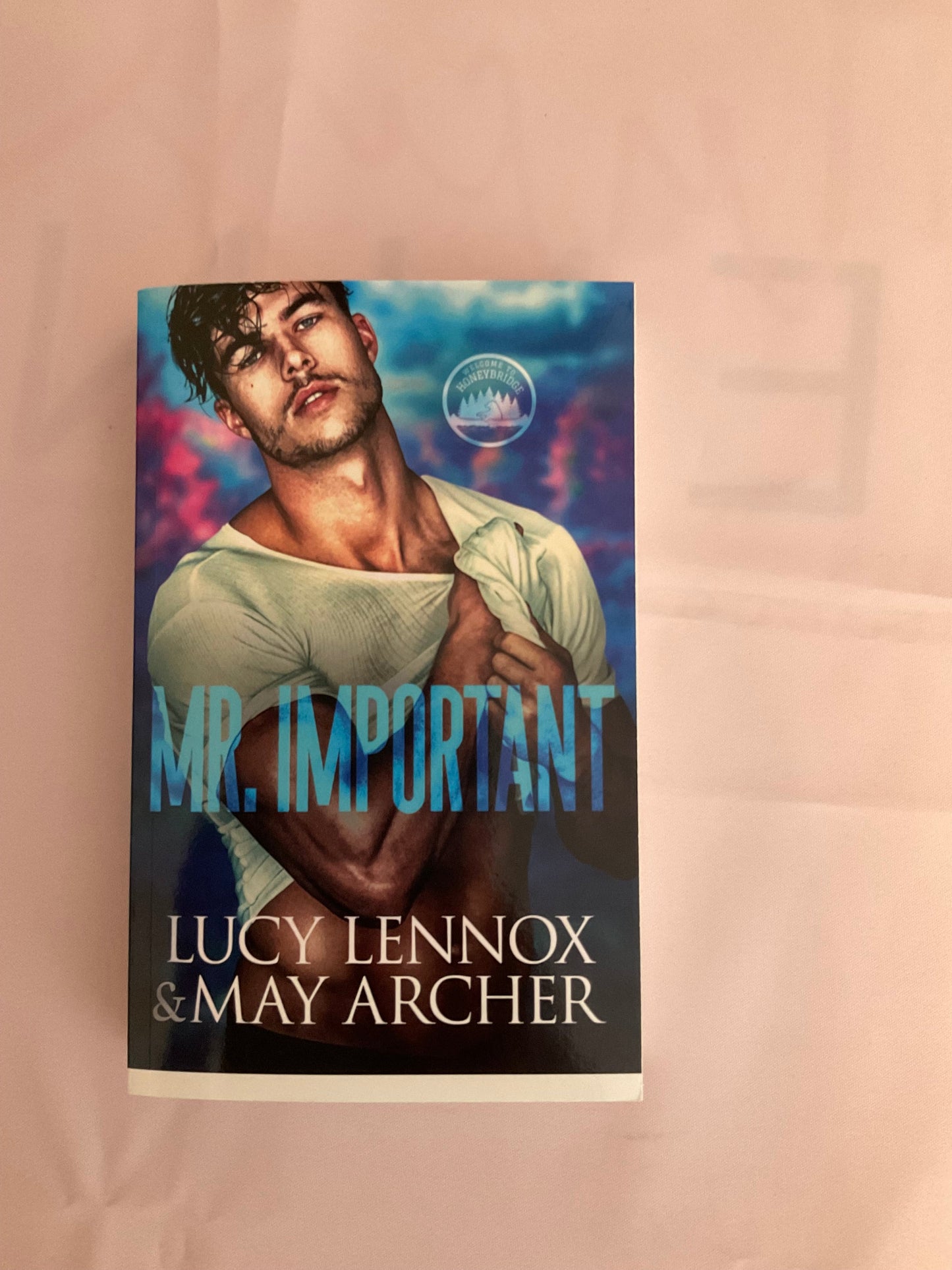 Mr. Important SCRATCH AND DENT (Signed Paperback)