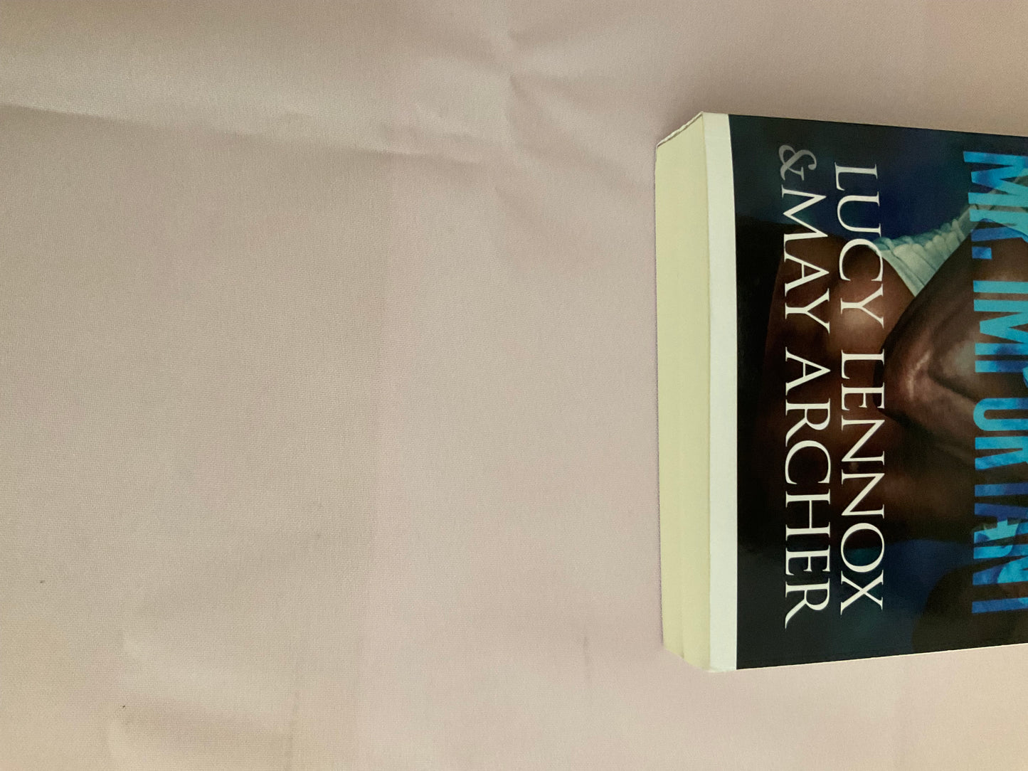 Mr. Important SCRATCH AND DENT (Signed Paperback)