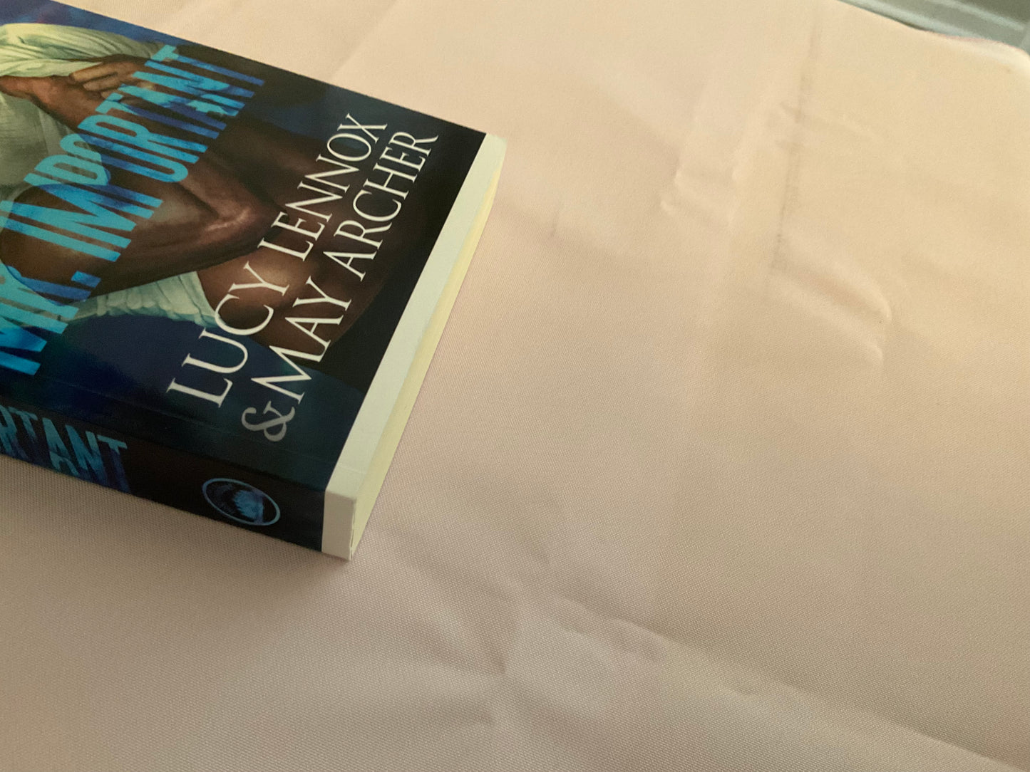 Mr. Important SCRATCH AND DENT (Signed Paperback)