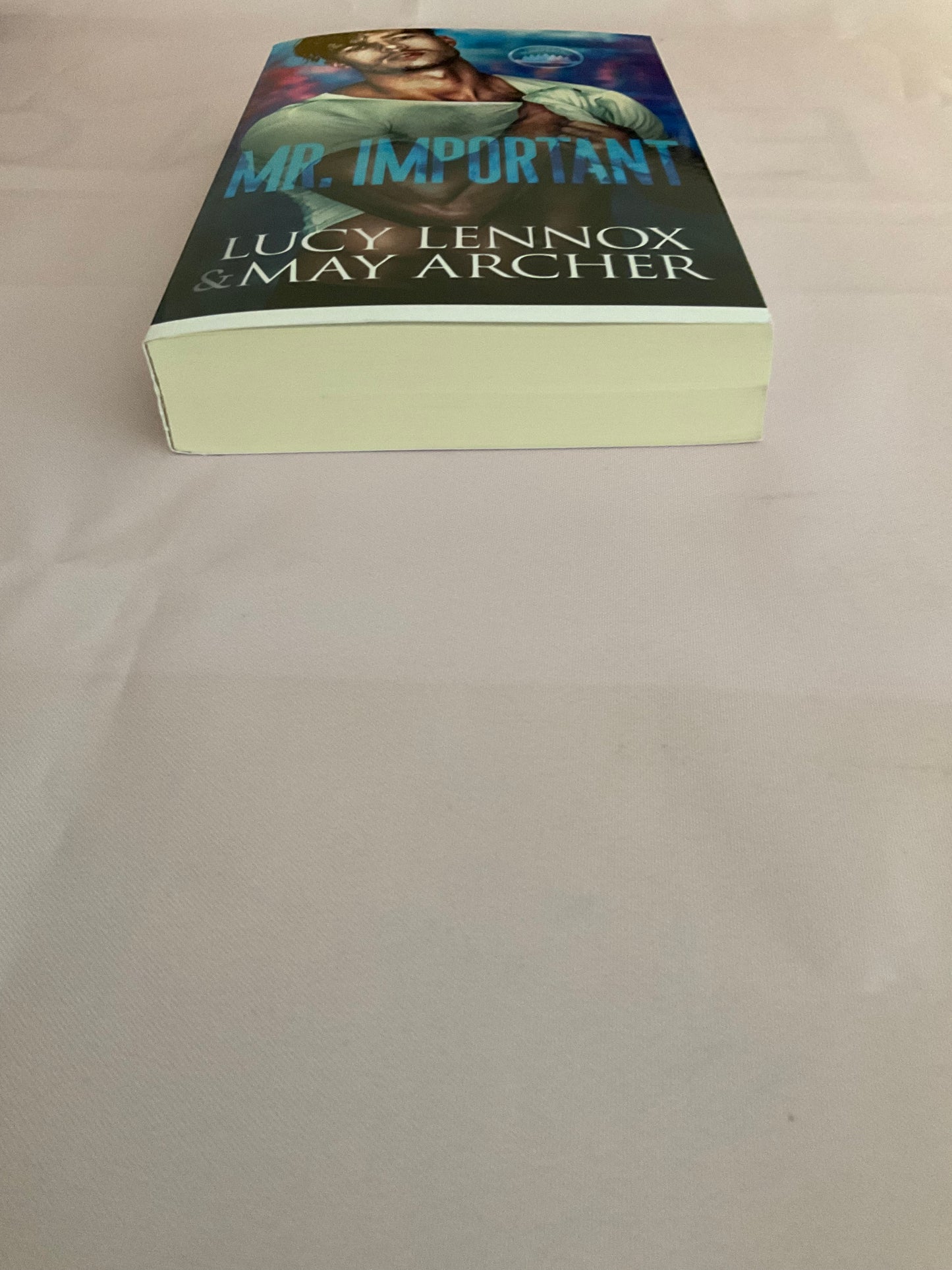 Mr. Important SCRATCH AND DENT (Signed Paperback)
