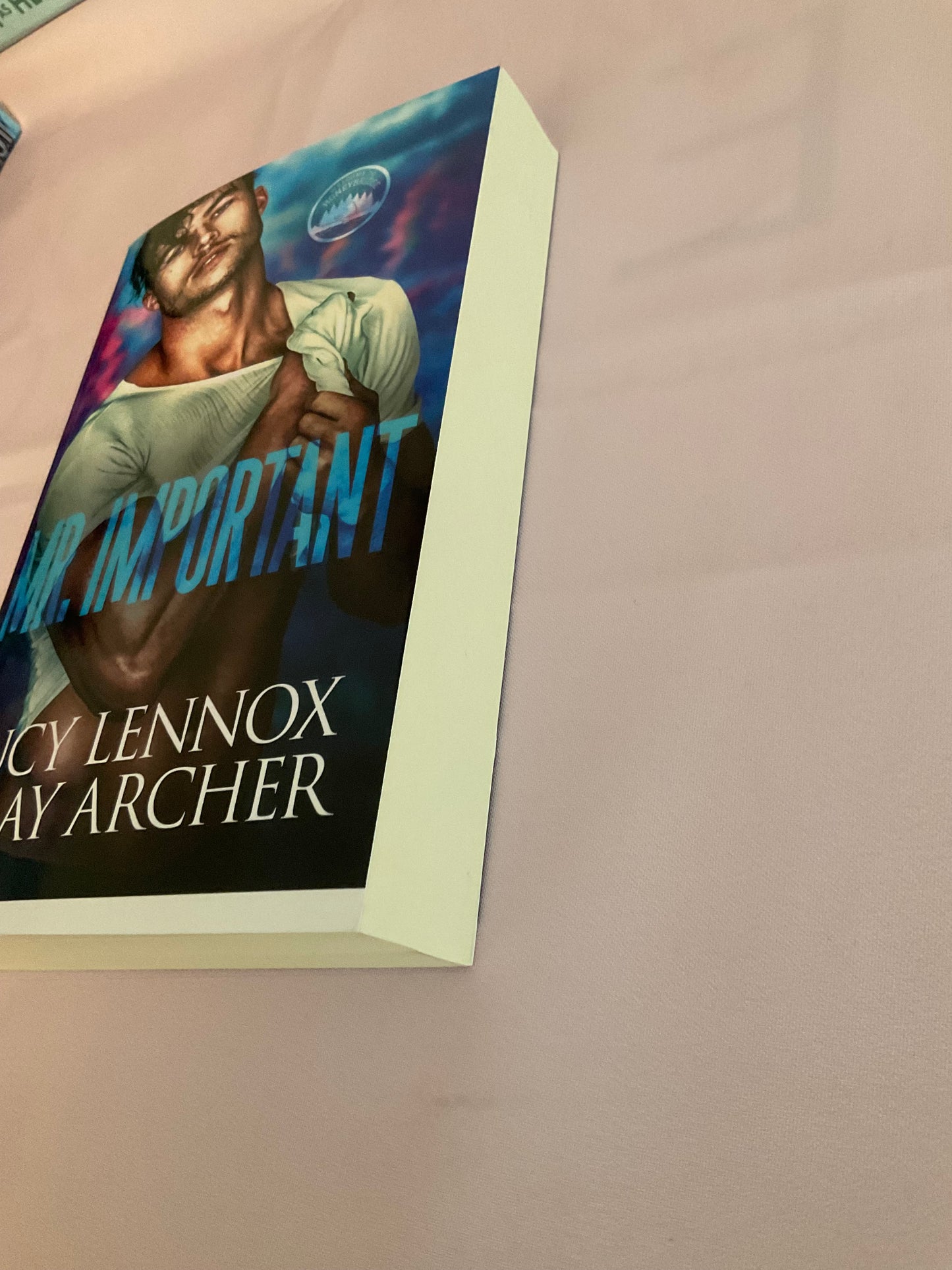 Mr. Important SCRATCH AND DENT (Signed Paperback)