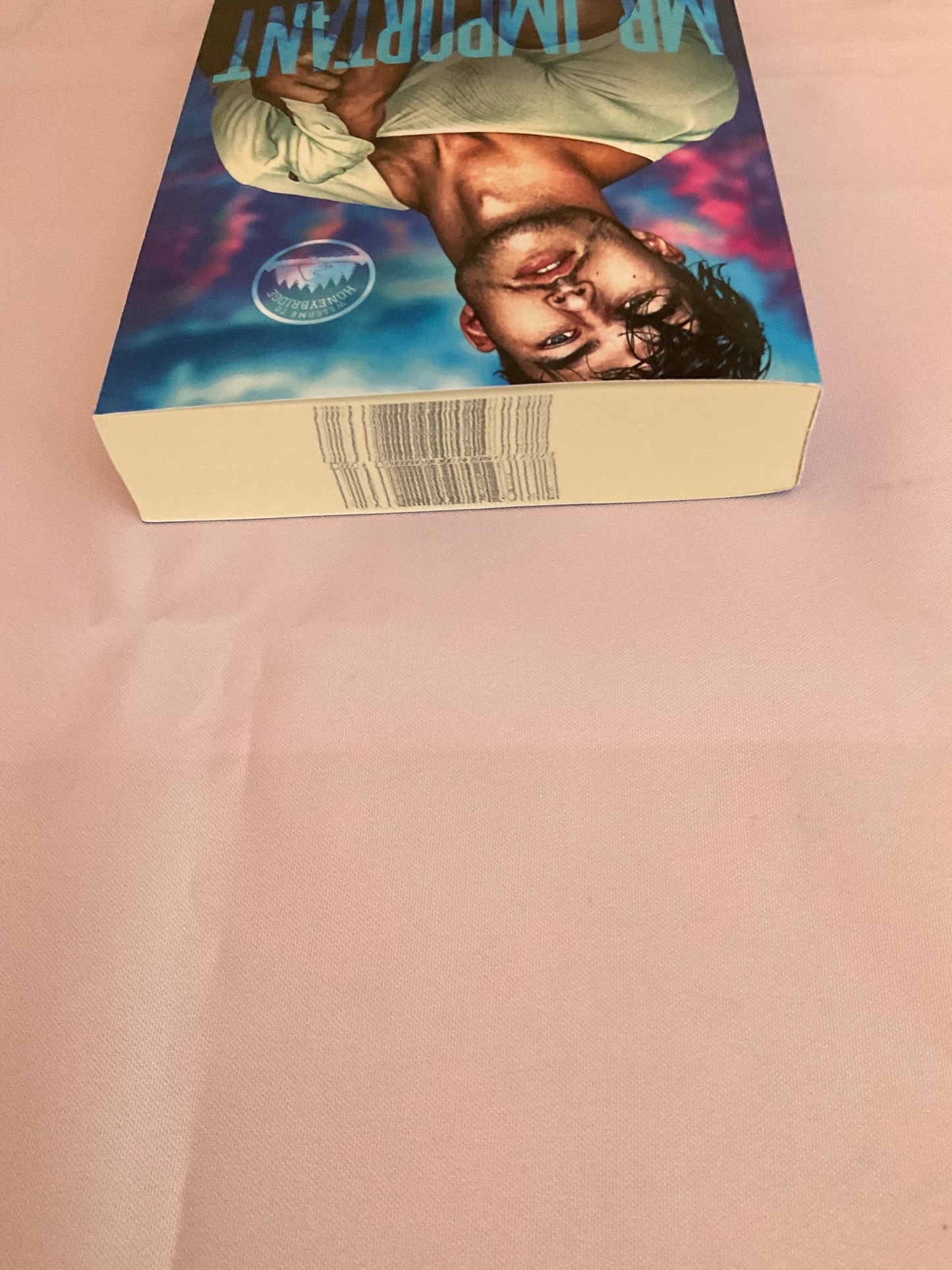 Mr. Important SCRATCH AND DENT (Signed Paperback)