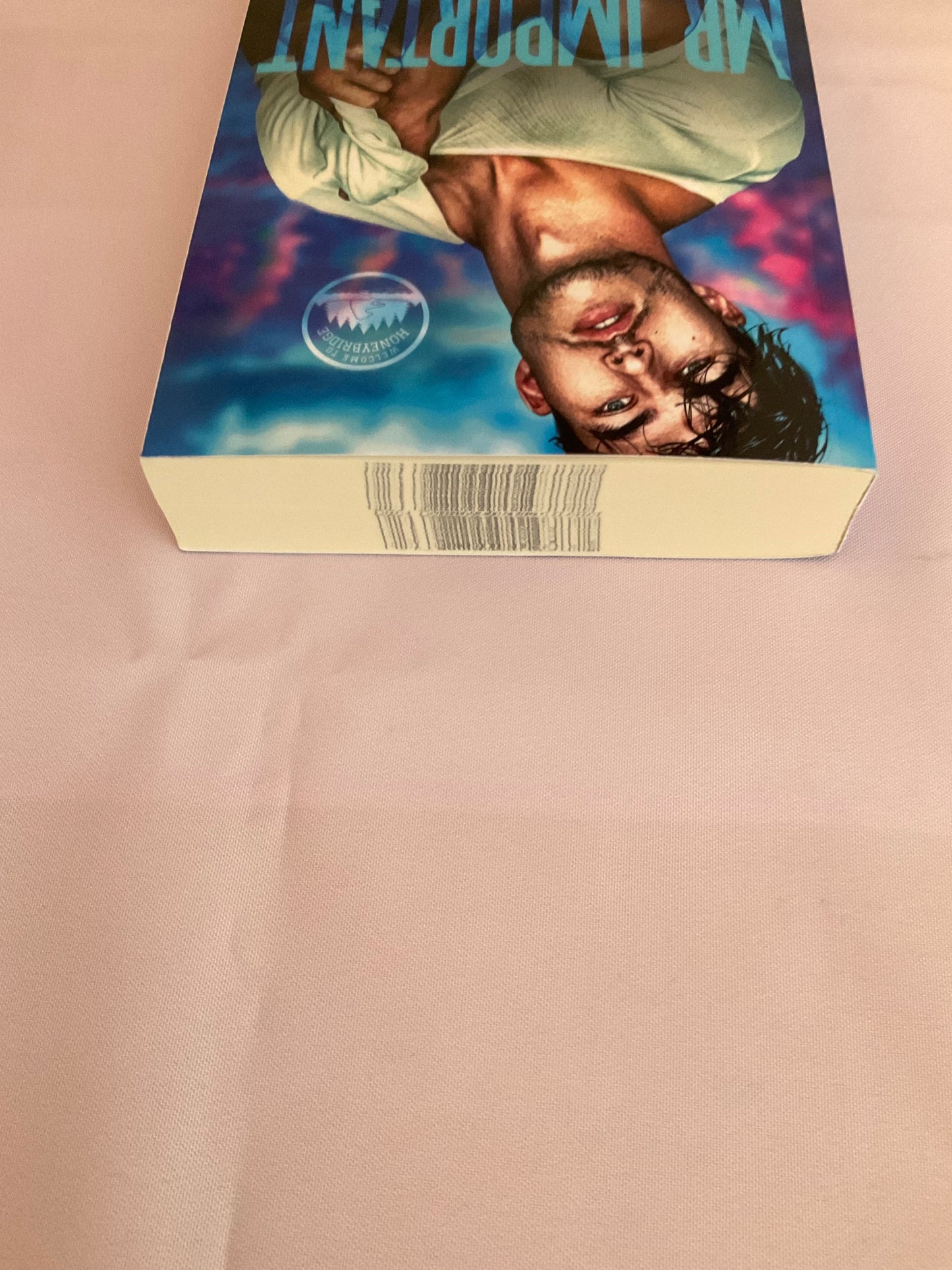 Mr. Important SCRATCH AND DENT (Signed Paperback)