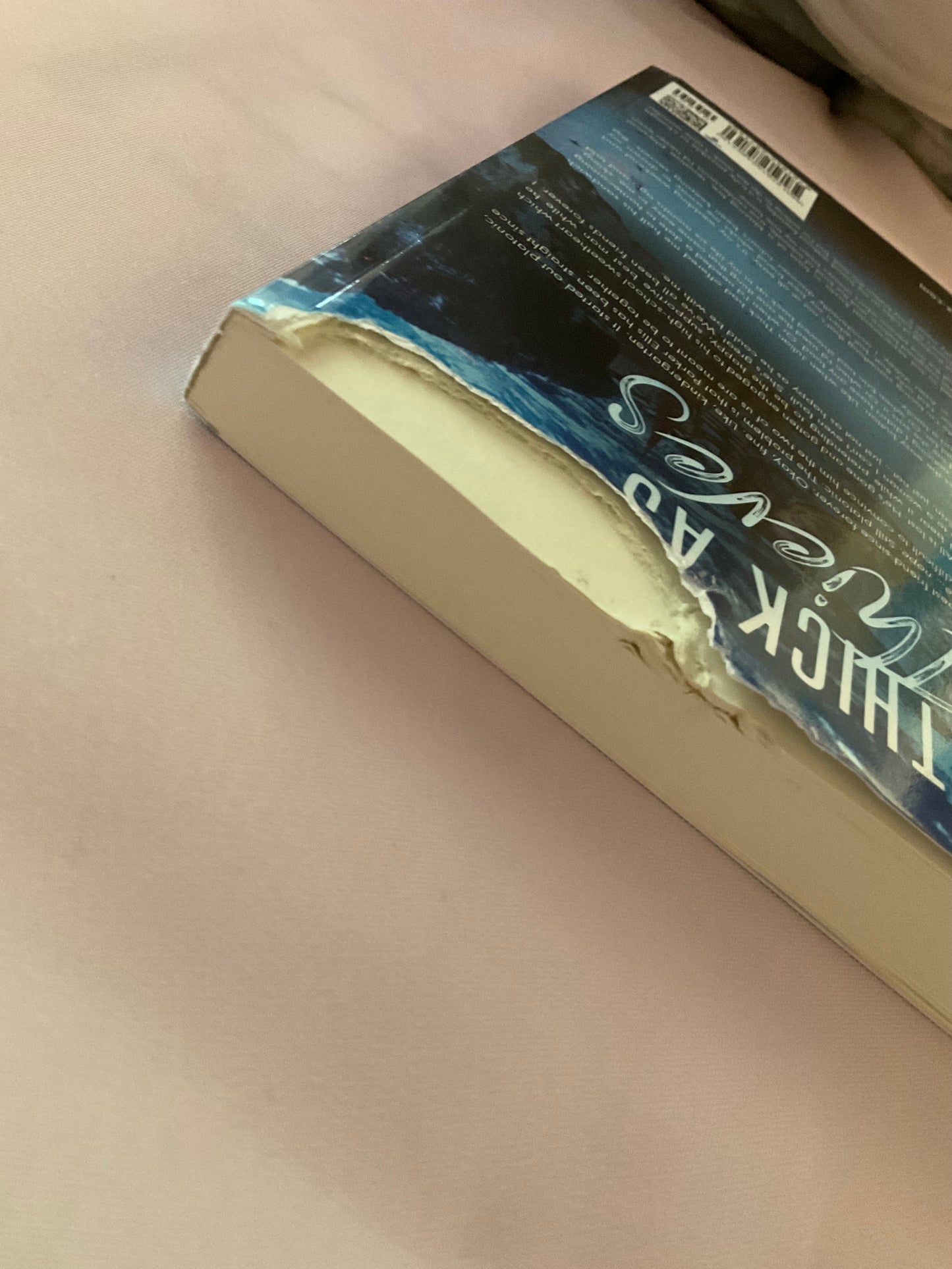 Thick as Thieves SCRATCH AND DENT (Signed Paperback)