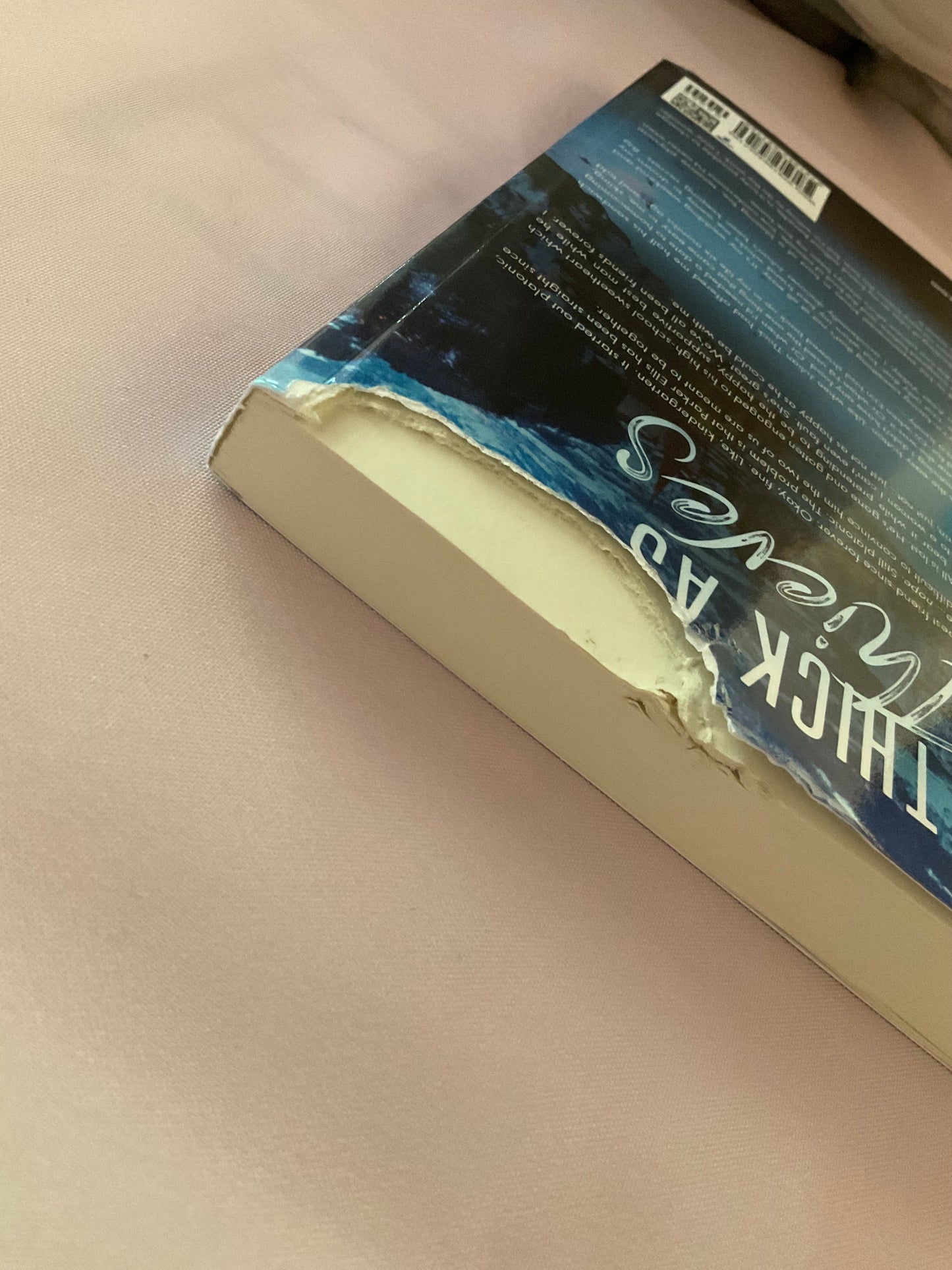 Thick as Thieves SCRATCH AND DENT (Signed Paperback)