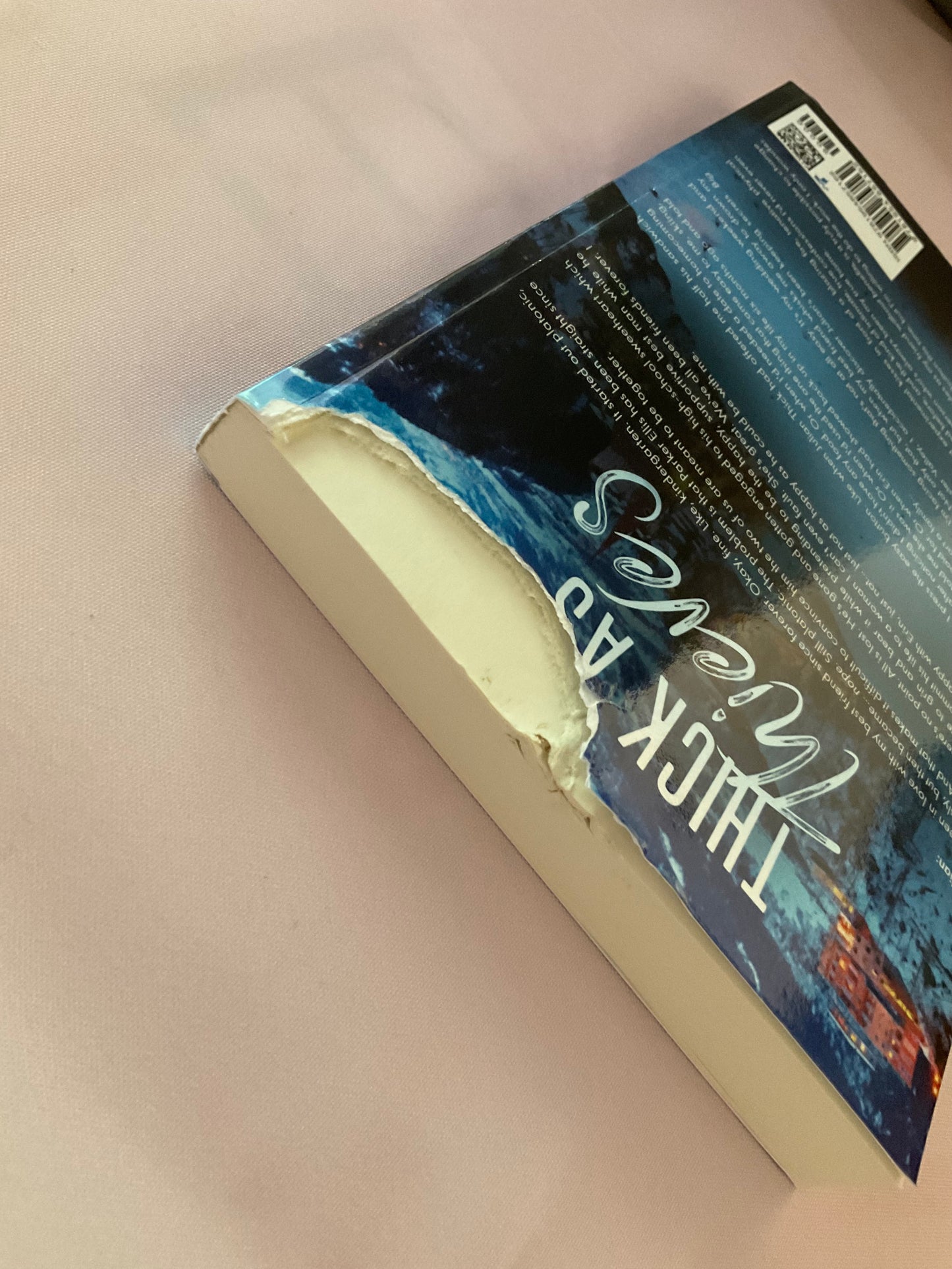 Thick as Thieves SCRATCH AND DENT (Signed Paperback)