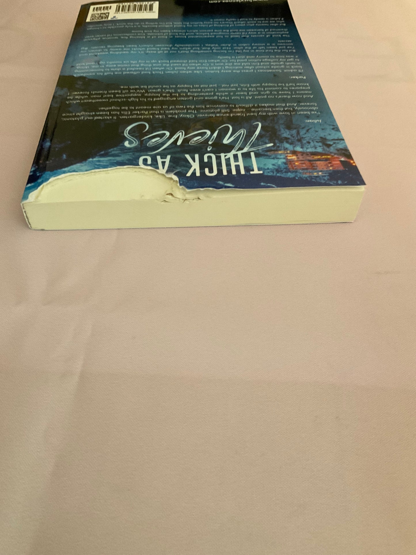 Thick as Thieves SCRATCH AND DENT (Signed Paperback)