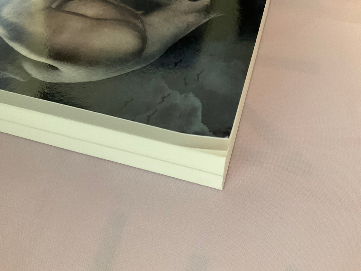 Safe & Sound SCRATCH AND DENT (Signed Paperback) (Copy)
