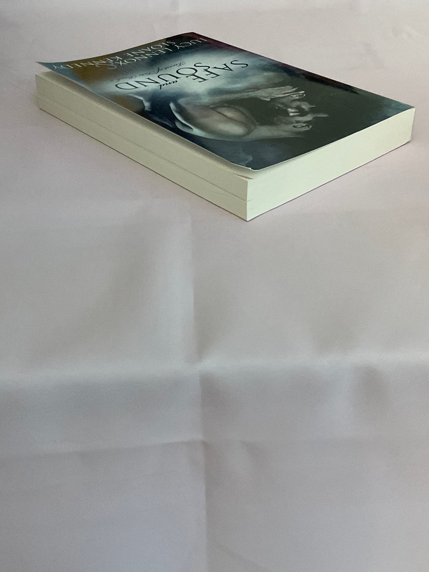 Safe & Sound SCRATCH AND DENT (Signed Paperback) (Copy)