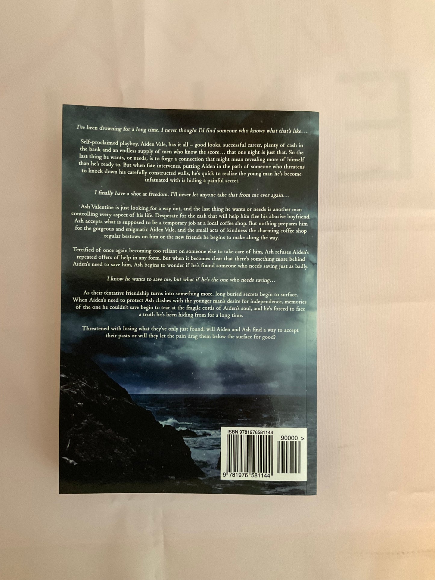 Safe & Sound SCRATCH AND DENT (Signed Paperback) (Copy)