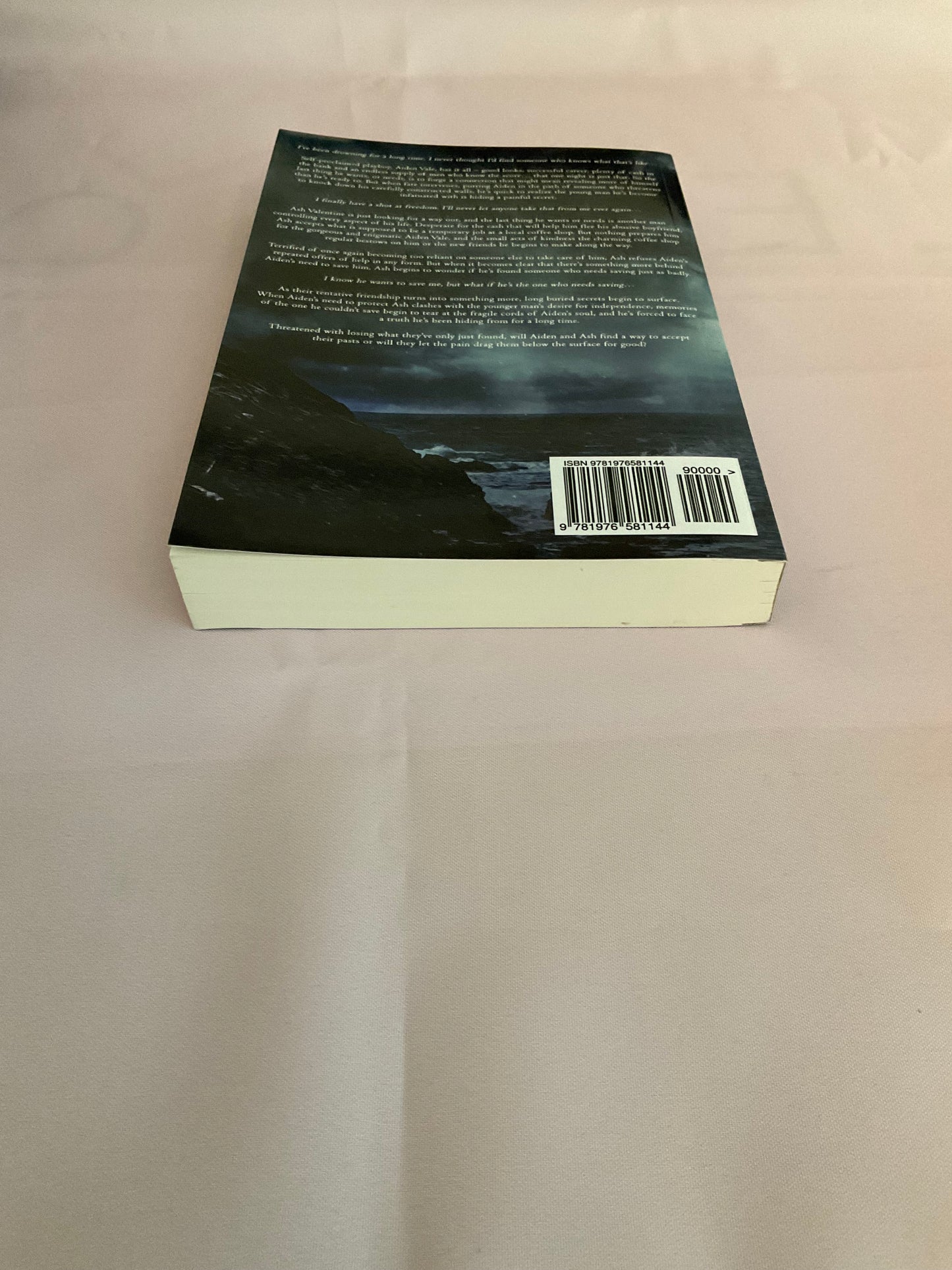 Safe & Sound SCRATCH AND DENT (Signed Paperback) (Copy)