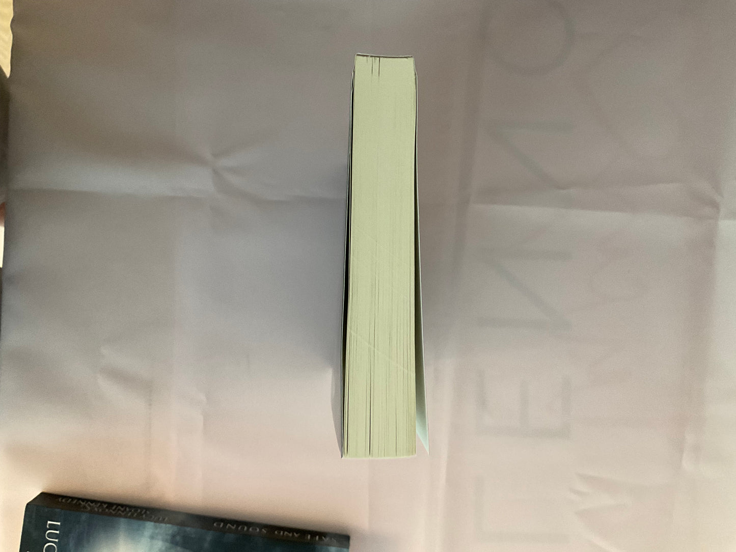Safe & Sound SCRATCH AND DENT (Signed Paperback) (Copy)