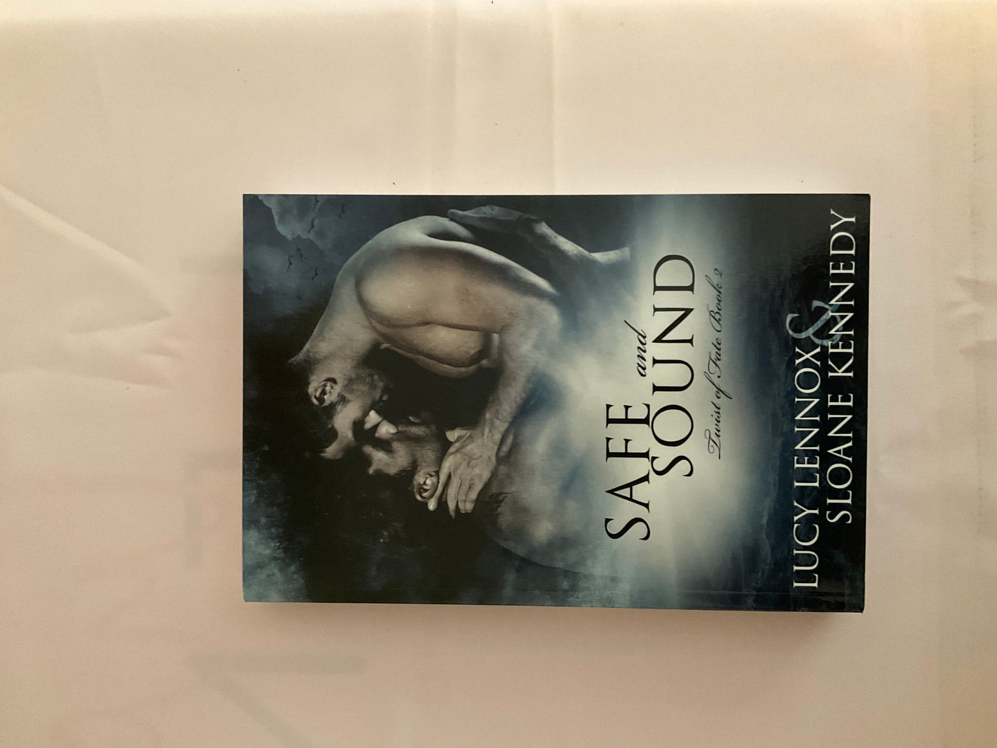 Safe & Sound SCRATCH AND DENT (Signed Paperback) (Copy)