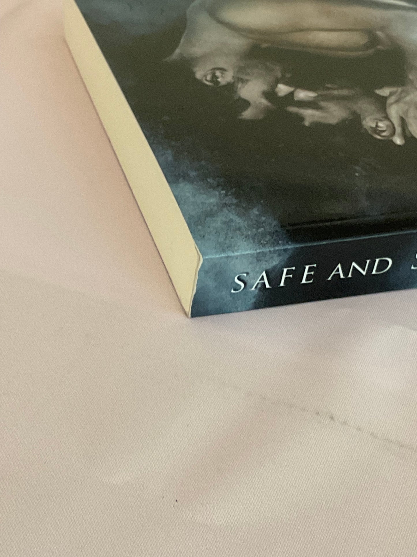 Safe & Sound SCRATCH AND DENT (Signed Paperback) (Copy)