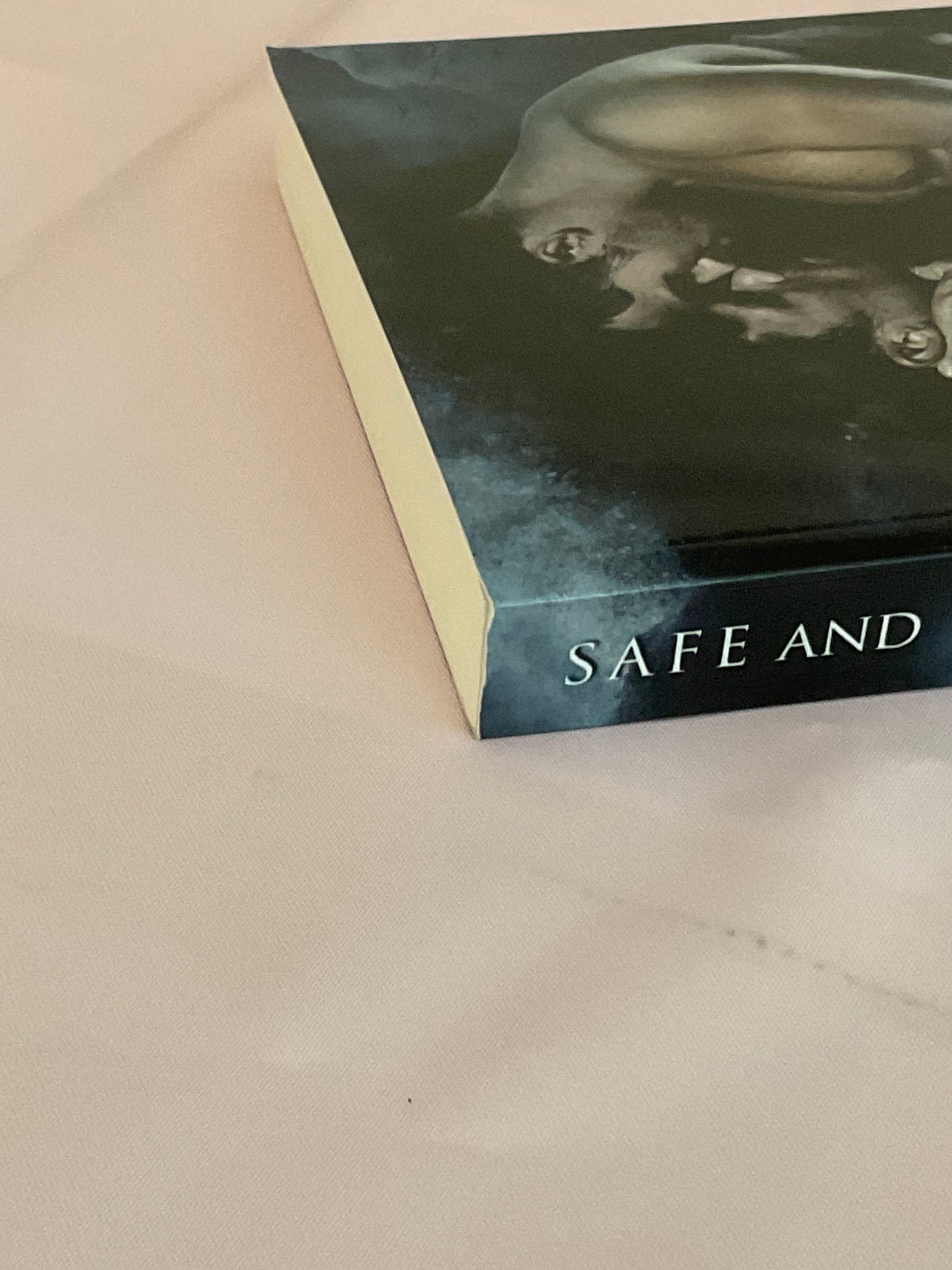 Safe & Sound SCRATCH AND DENT (Signed Paperback) (Copy)