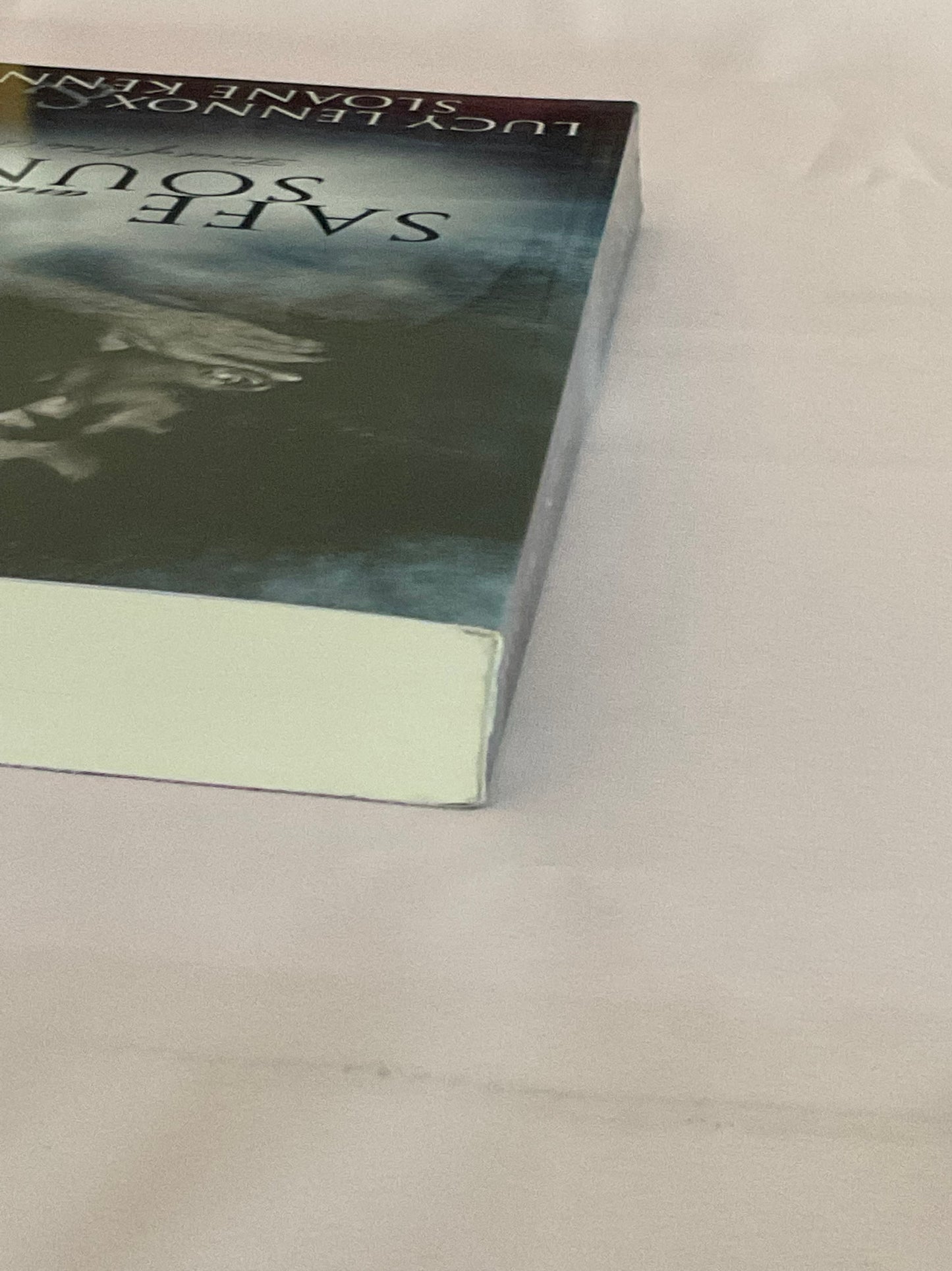Safe & Sound SCRATCH AND DENT (Signed Paperback) (Copy)